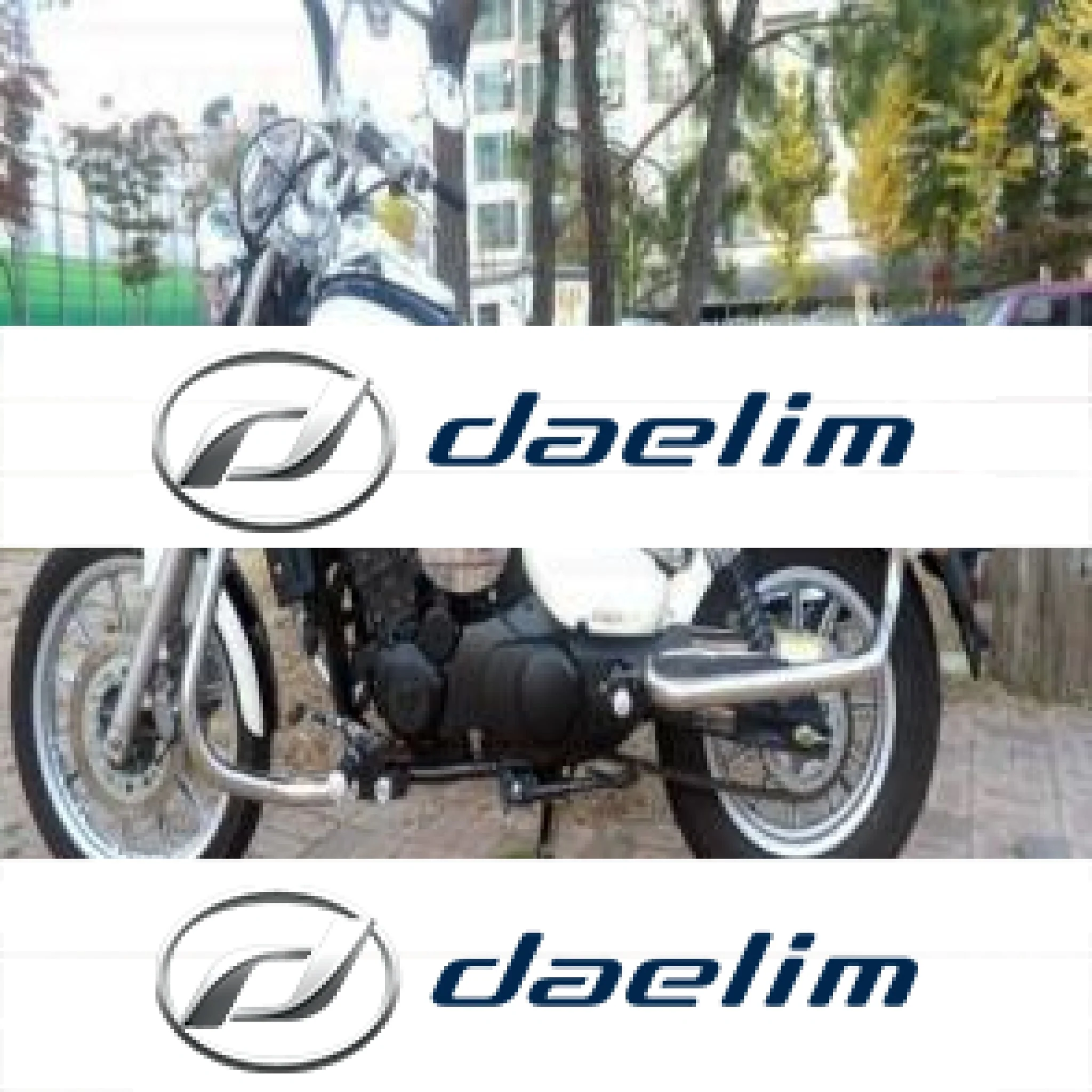 Aftermarket Engine Guard with Luggage Frame Set Daelim VL250 (Daystar)
