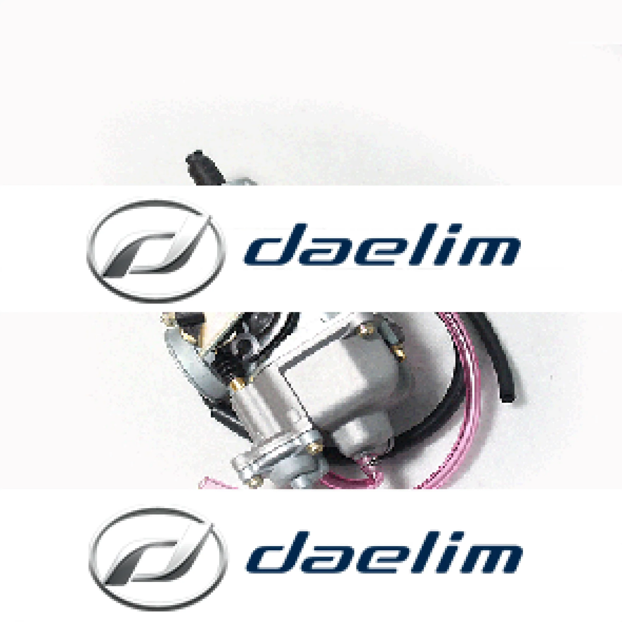 Genuine Carburetor Assy Daelim VT125
