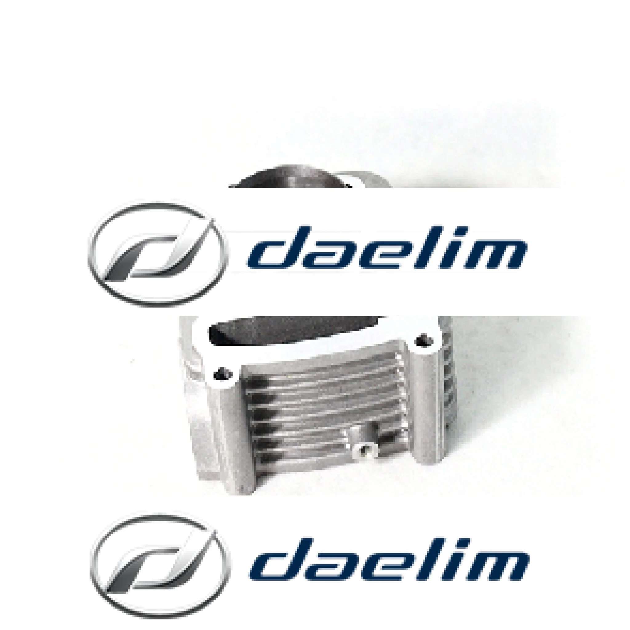 Genuine Engine Cylinder Daelim SL125 SQ125 SN125 S1 125 SG125 NS125