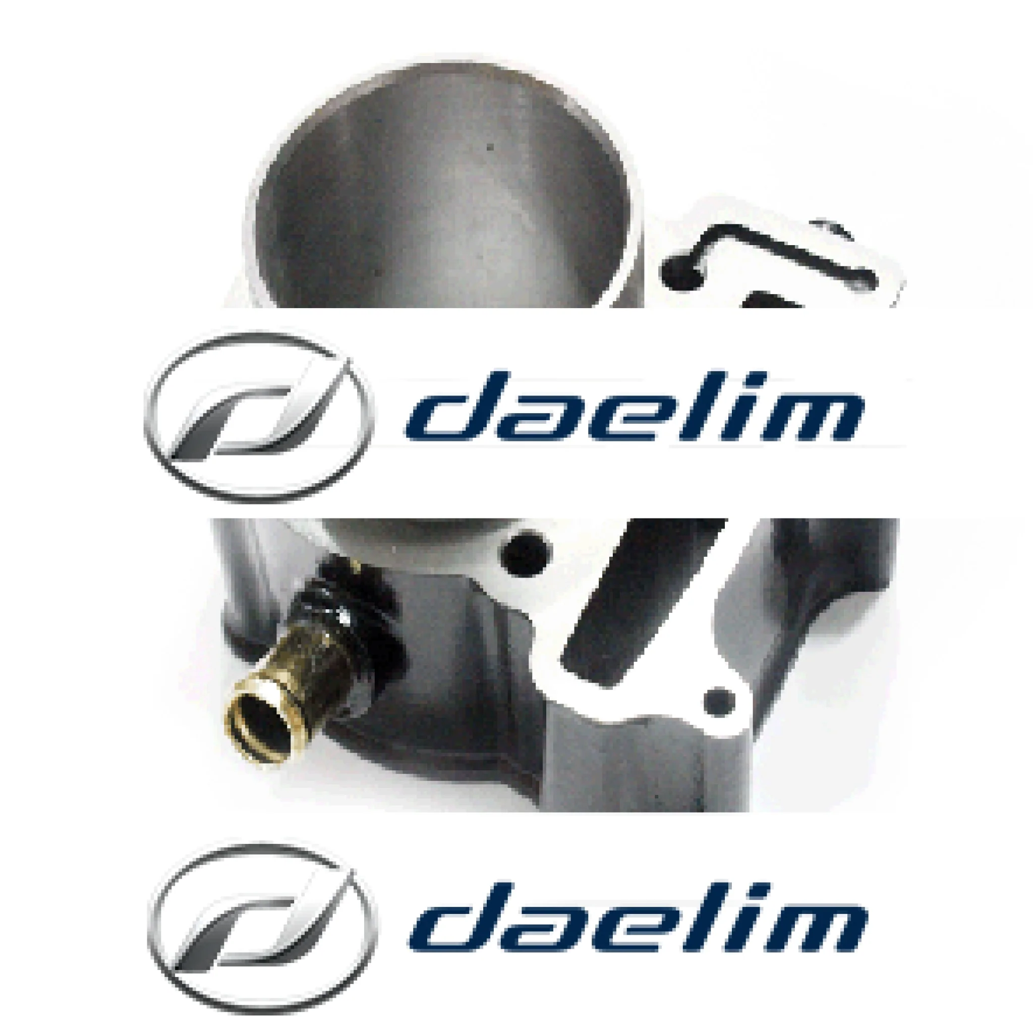 Genuine Engine Cylinder Daelim SQ250 S2 250