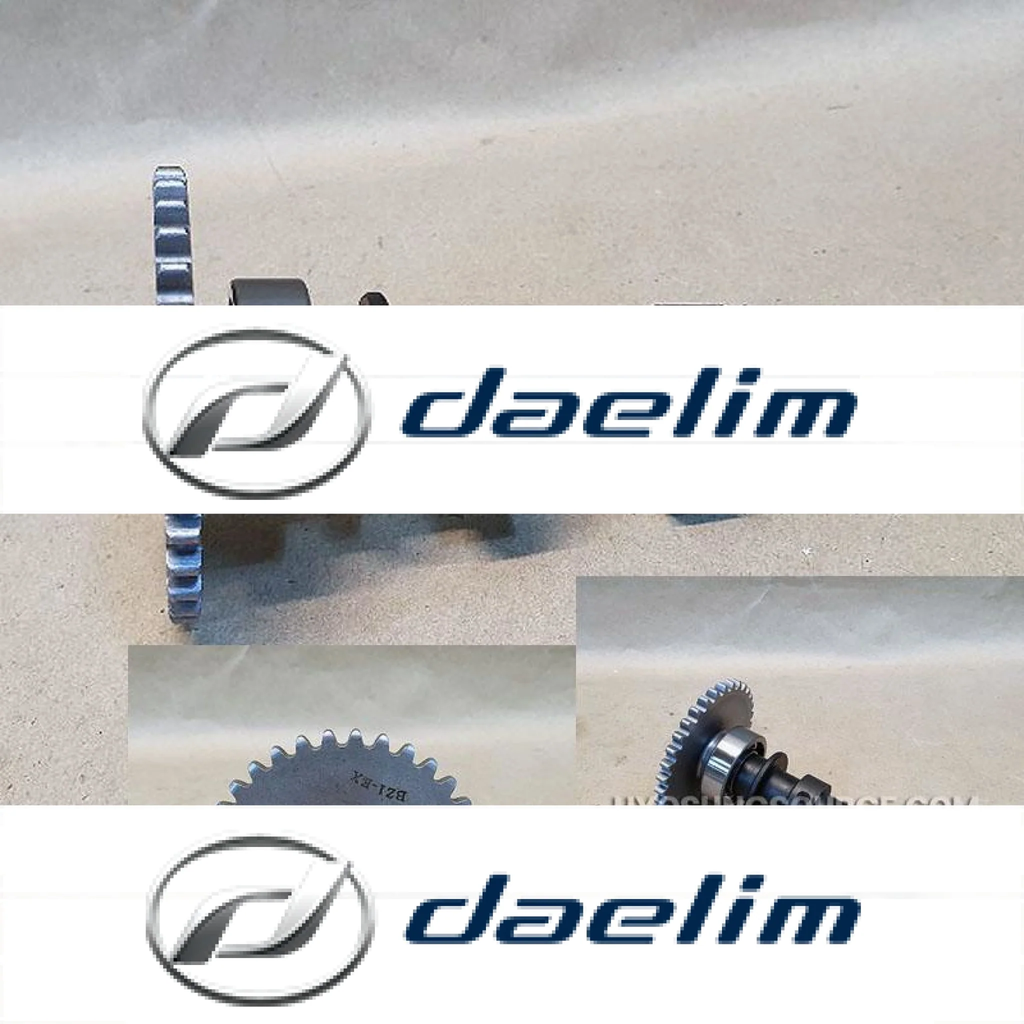 Genuine Engine Exhaust Camshaft Assy VJF250 Roadwin 250R