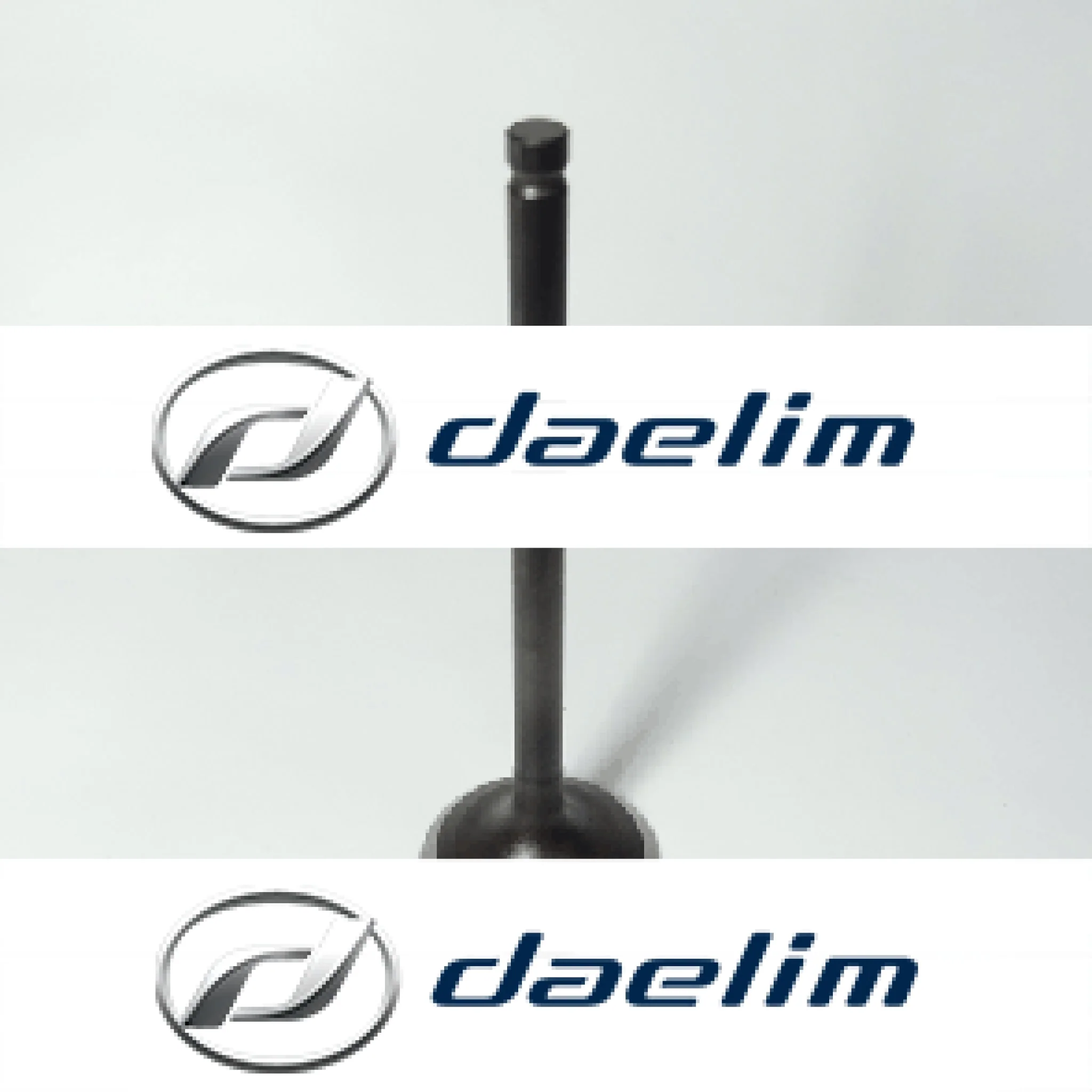 Genuine Engine Exhaust Valve Daelim Citi Ace 110