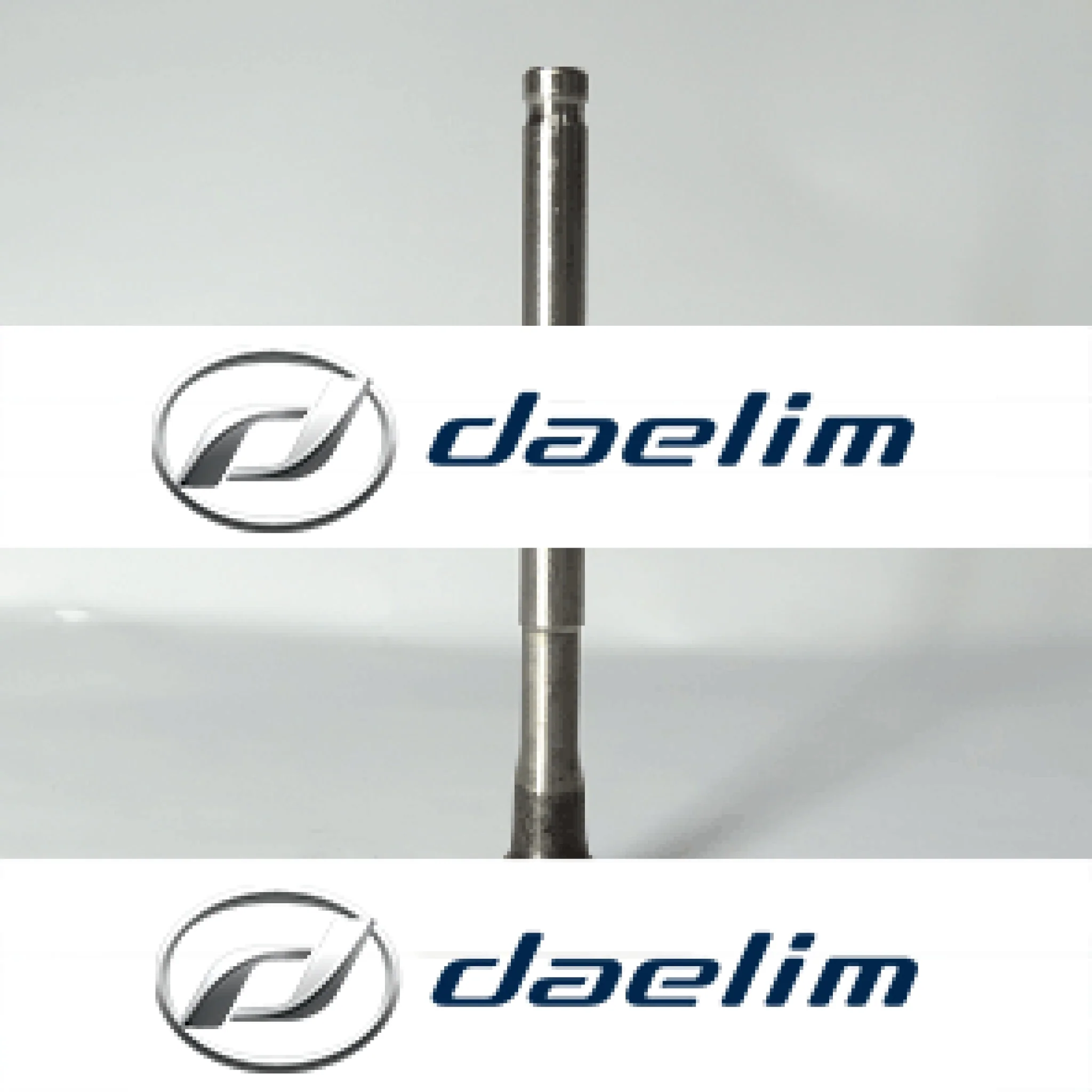 Genuine Engine Intake Valve Daelim Citi Ace 110