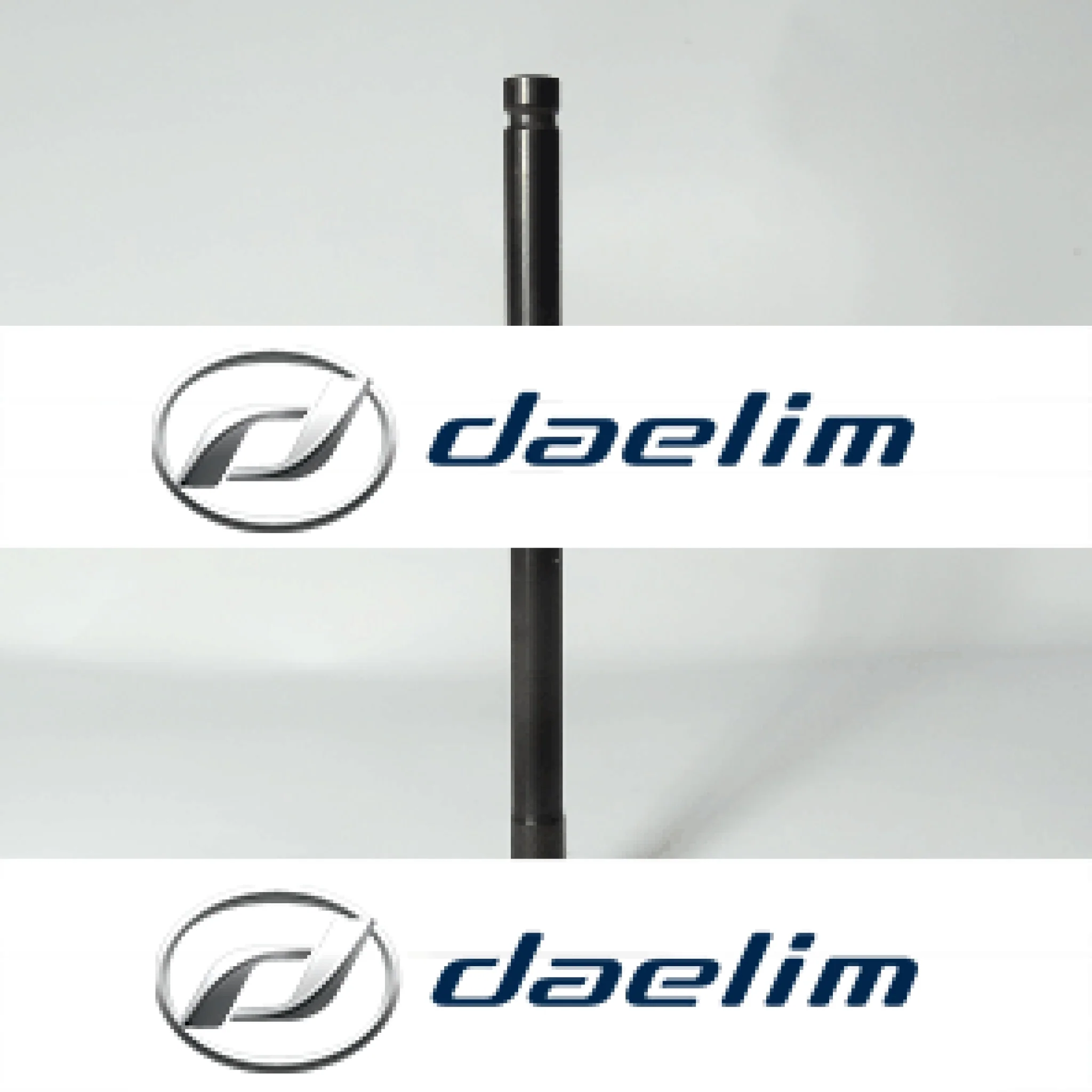 Genuine Engine Intake Valve Daelim VJF250 S3 250