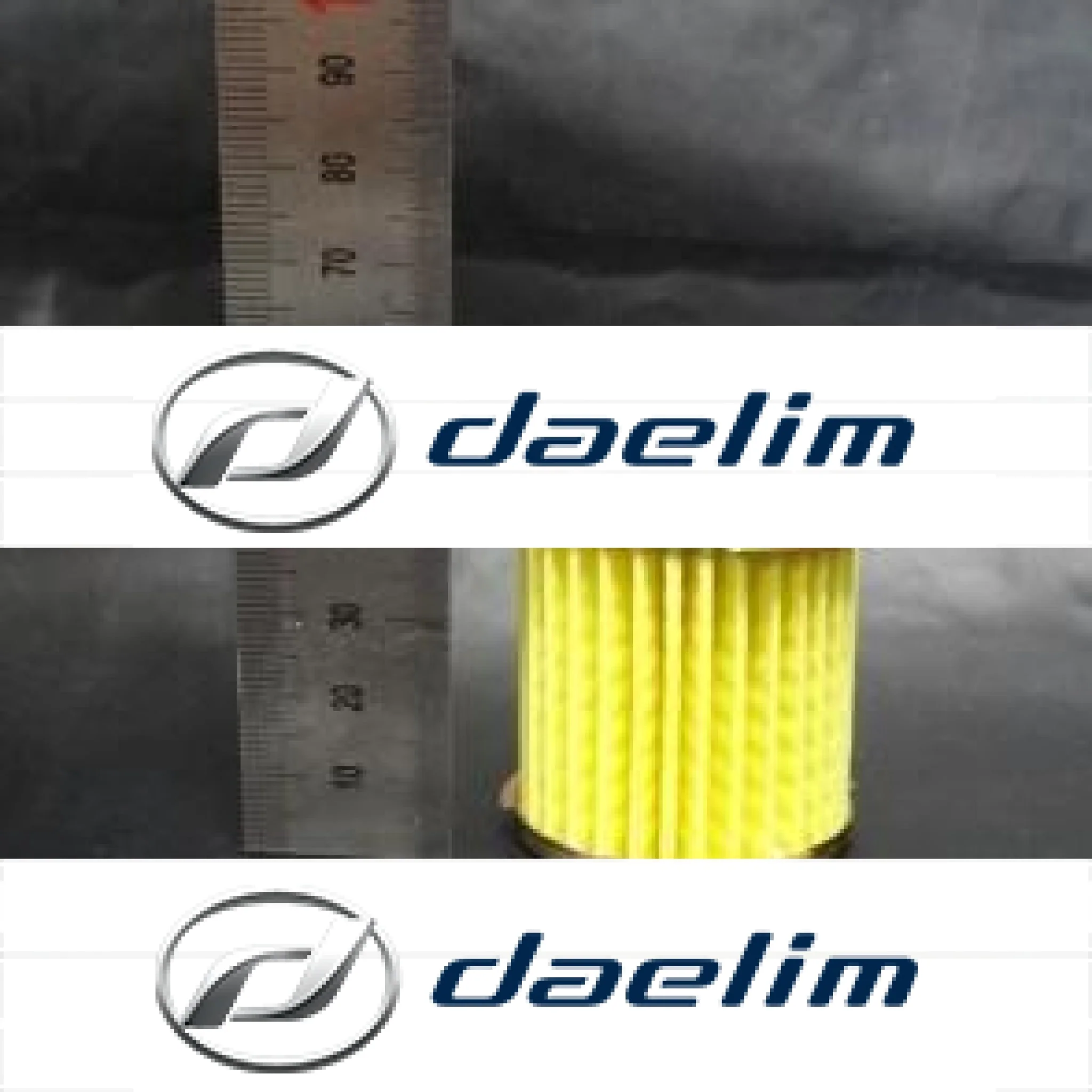 Genuine Engine Oil Filter Daelim SG125 SL125 S1 125 SN125 SQ125 VJF125 NS125