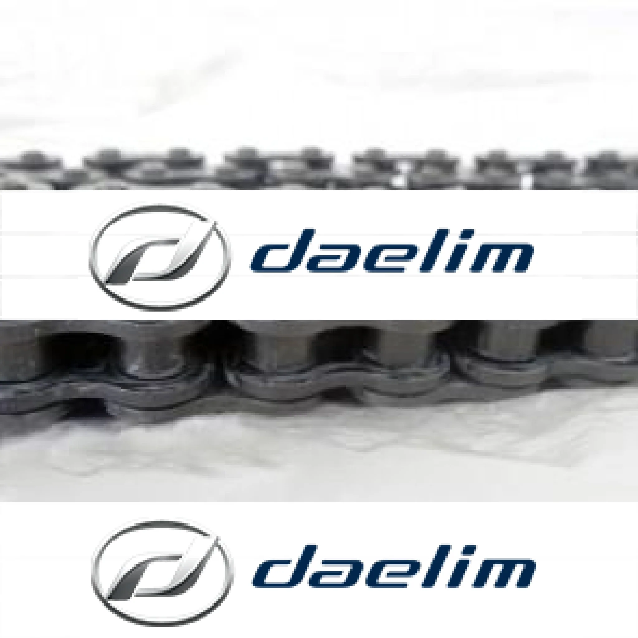 Genuine O-ring Drive Chain Daelim Daystar VL250